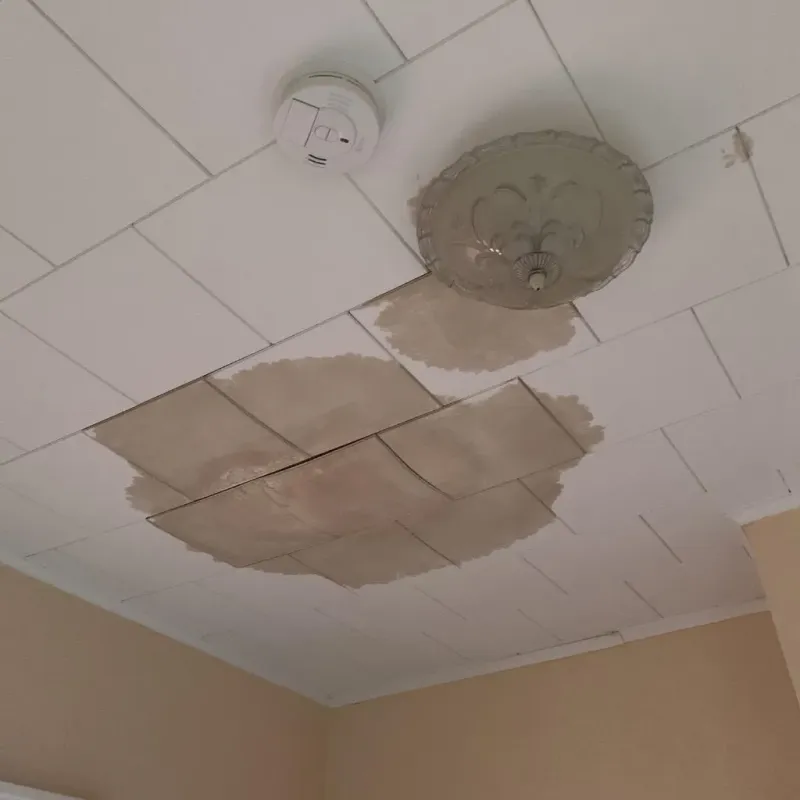 Ceiling Water Damage Repair in Jacksboro, TX