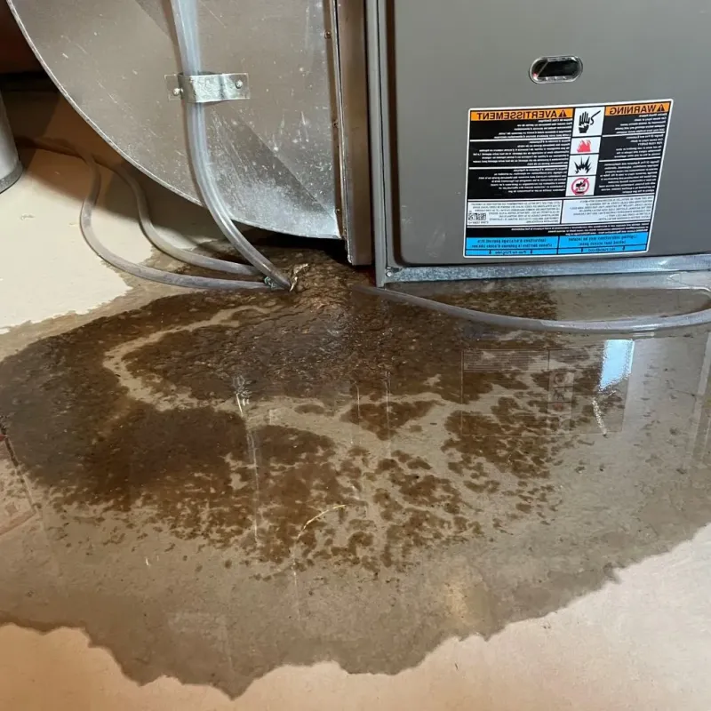 Pipe Burst and Leak Restoration in Jacksboro, TX
