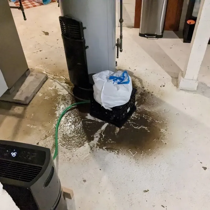 Sewage Backup Cleanup Service in Jacksboro, TX